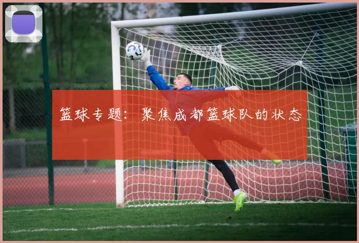 篮球专题：聚焦成都篮球队的状态
