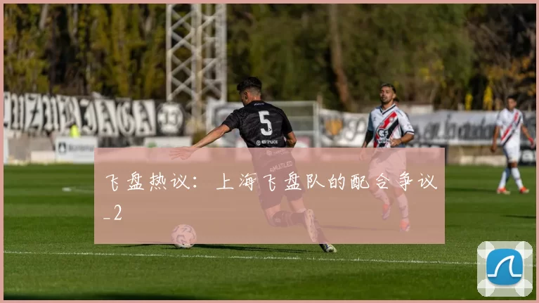 飞盘热议：上海飞盘队的配合争议_2