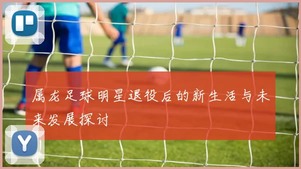 属龙足球明星退役后的新生活与未来发展探讨