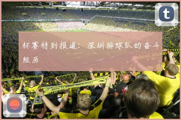 杯赛特别报道：深圳排球队的奋斗经历