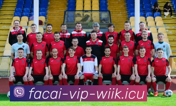 MK体育发展历程